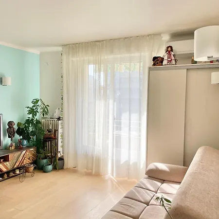 Palm Daire Cannes